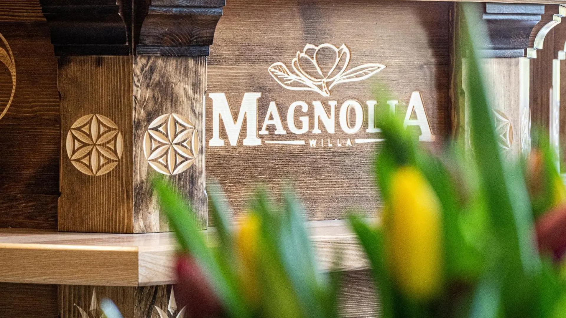 Appartamento Magnolia Zakopane Polonia
