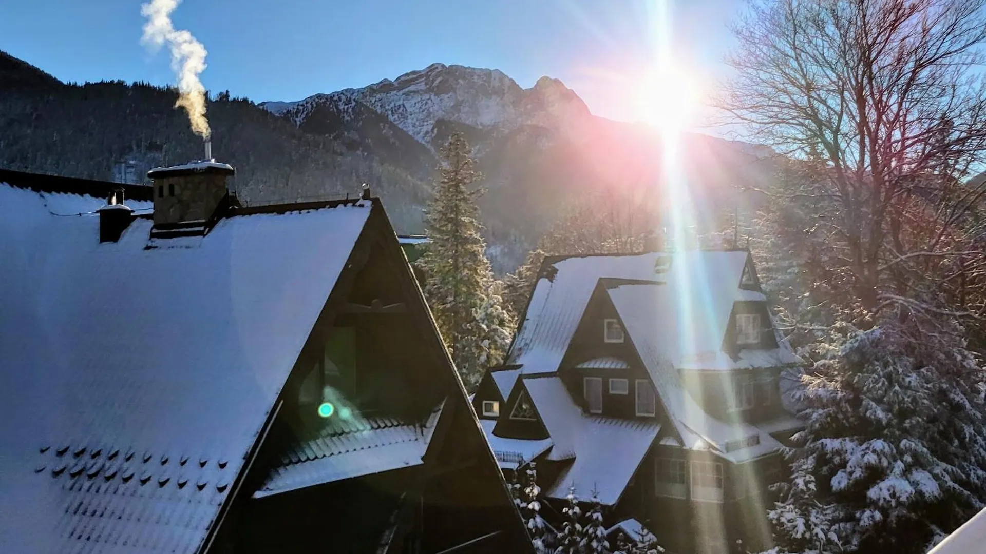 Homestay Magnolia Apartment Zakopane Poland